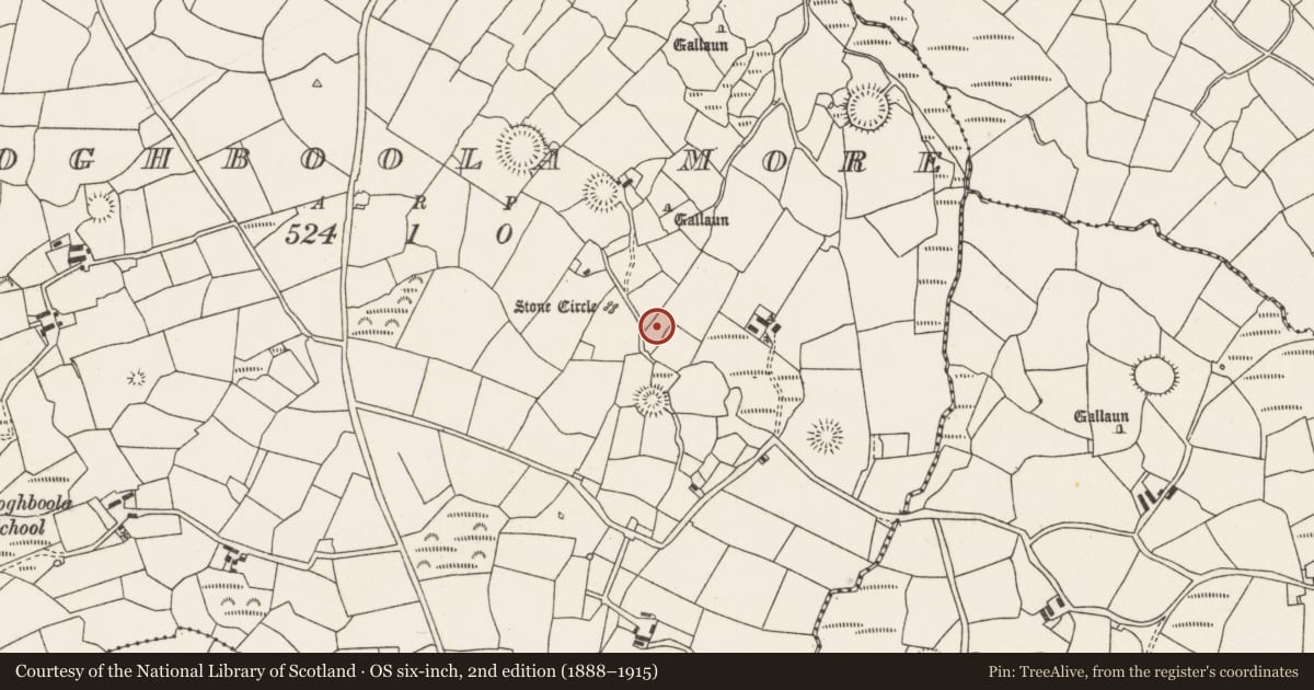 Ordnance Survey six-inch map, 2nd edition (1888–1915) covering the location of Standing stone, Cloghboola More, County Cork, with a pin at the register's coordinates