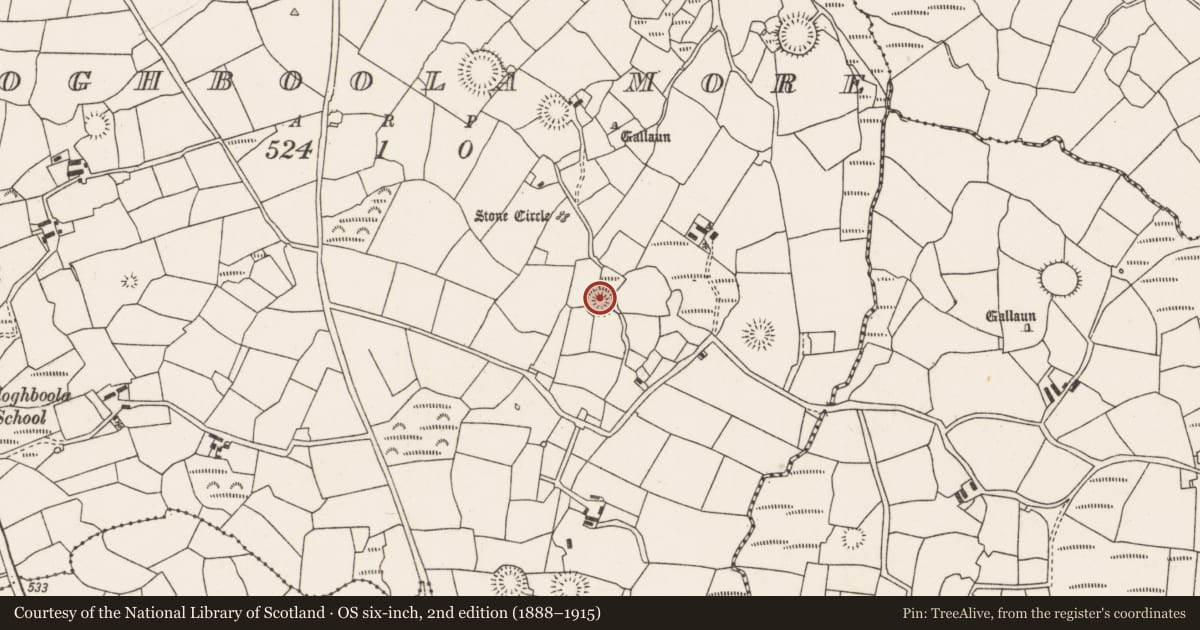 Ordnance Survey six-inch map, 2nd edition (1888–1915) covering the location of Ringfort - rath, Cloghboola More, County Cork, with a pin at the register's coordinates