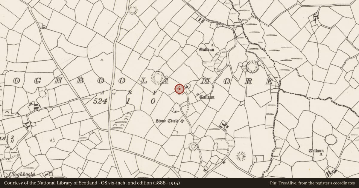 Ordnance Survey six-inch map, 2nd edition (1888–1915) covering the location of Ringfort - rath, Cloghboola More, County Cork, with a pin at the register's coordinates