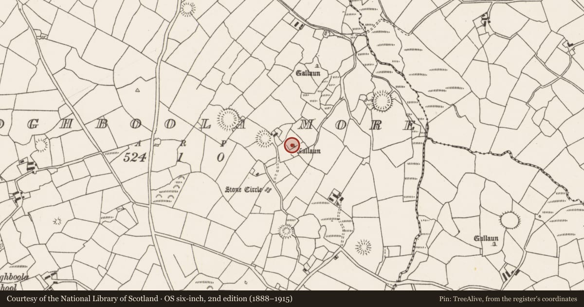 Ordnance Survey six-inch map, 2nd edition (1888–1915) covering the location of Standing stone, Cloghboola More, County Cork, with a pin at the register's coordinates