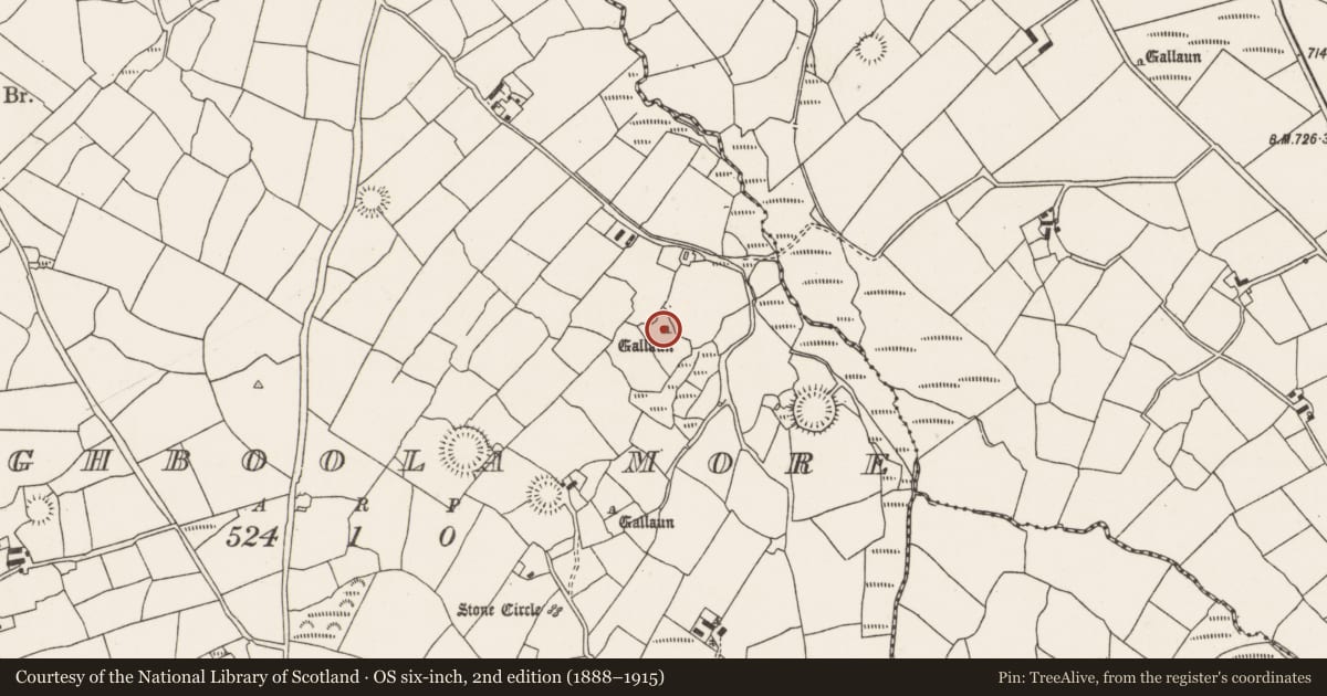 Ordnance Survey six-inch map, 2nd edition (1888–1915) covering the location of Stone row, Cloghboola More, County Cork, with a pin at the register's coordinates