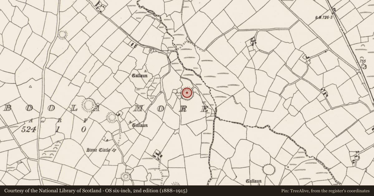 Ordnance Survey six-inch map, 2nd edition (1888–1915) covering the location of Ringfort - rath, Cloghboola More, County Cork, with a pin at the register's coordinates