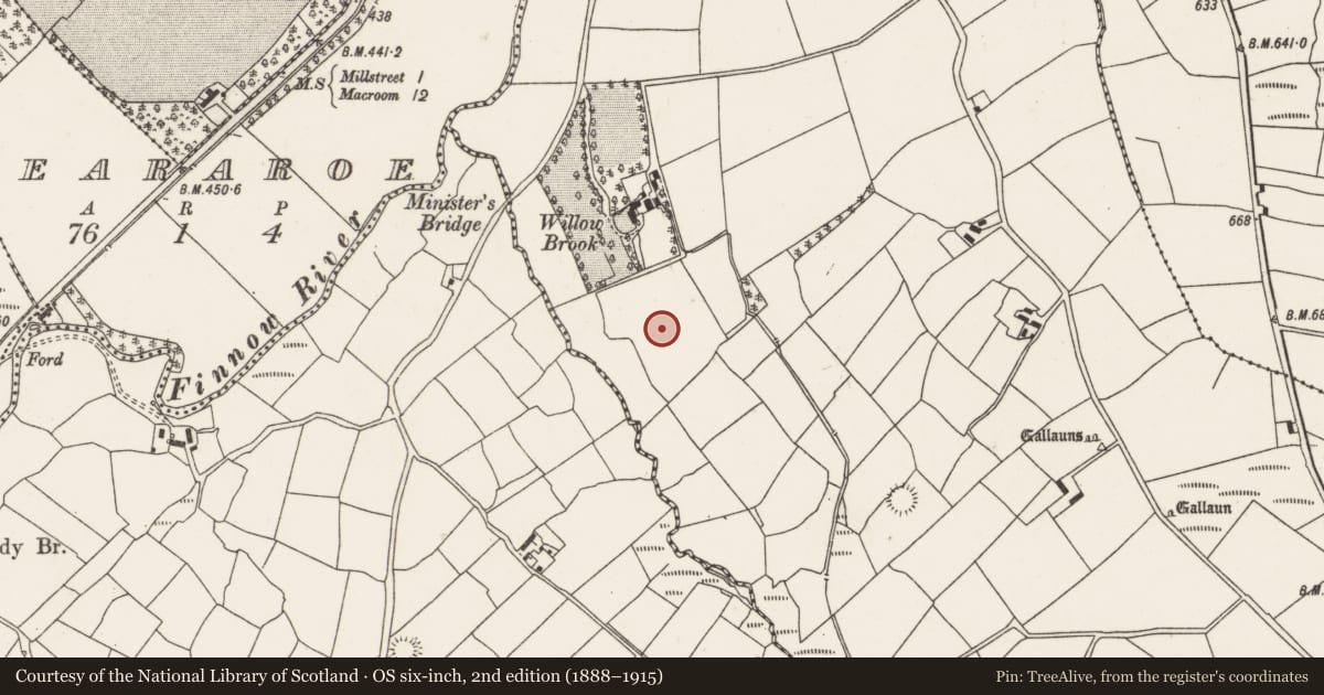 Ordnance Survey six-inch map, 2nd edition (1888–1915) covering the location of Standing stone, Cloghboola Beg, County Cork, with a pin at the register's coordinates
