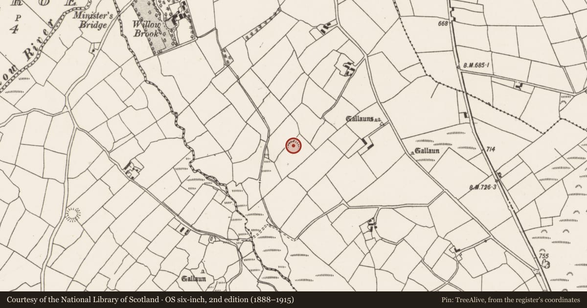 Ordnance Survey six-inch map, 2nd edition (1888–1915) covering the location of Ringfort - rath, Cloghboola Beg, County Cork, with a pin at the register's coordinates