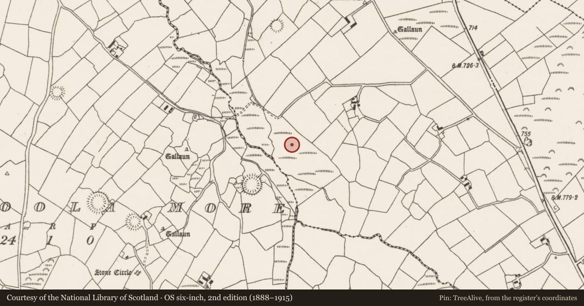 Ordnance Survey six-inch map, 2nd edition (1888–1915) covering the location of Fulacht fia, Cloghboola Beg, County Cork, with a pin at the register's coordinates