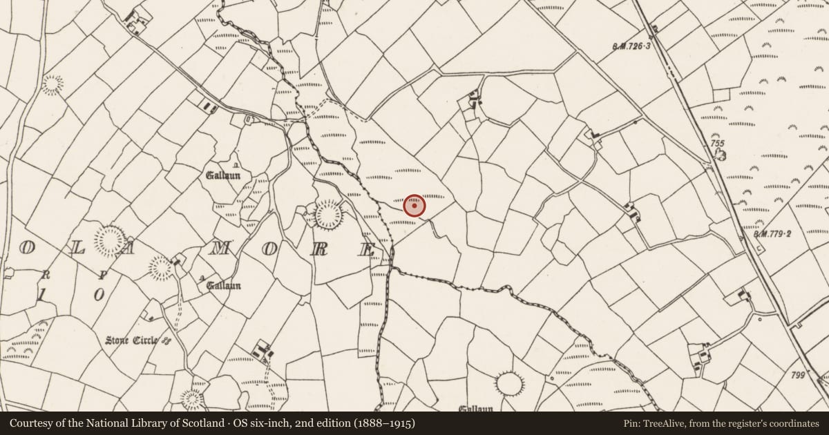 Ordnance Survey six-inch map, 2nd edition (1888–1915) covering the location of Fulacht fia, Cloghboola Beg, County Cork, with a pin at the register's coordinates