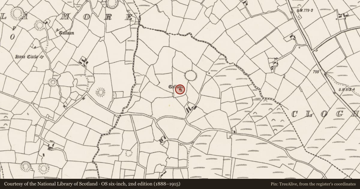 Ordnance Survey six-inch map, 2nd edition (1888–1915) covering the location of Standing stone - pair, Knocknakilla, County Cork, with a pin at the register's coordinates