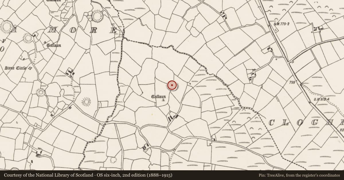 Ordnance Survey six-inch map, 2nd edition (1888–1915) covering the location of Ringfort - rath, Knocknakilla, County Cork, with a pin at the register's coordinates
