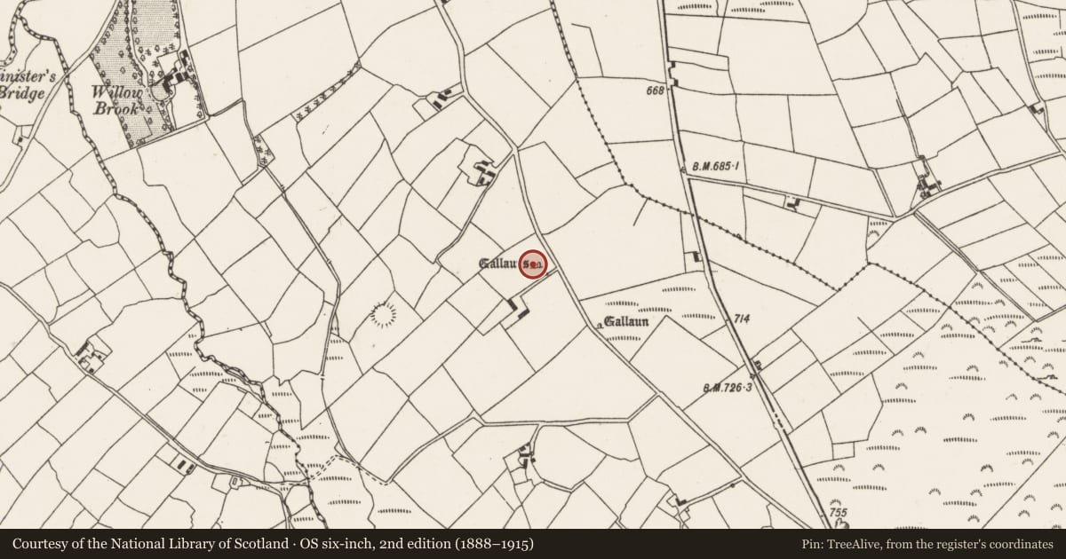 Ordnance Survey six-inch map, 2nd edition (1888–1915) covering the location of Standing stone - pair, Cloghboola Beg, County Cork, with a pin at the register's coordinates