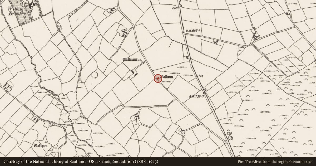 Ordnance Survey six-inch map, 2nd edition (1888–1915) covering the location of Standing stone, Cloghboola Beg, County Cork, with a pin at the register's coordinates