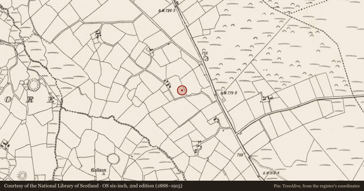 Ordnance Survey six-inch map, 2nd edition (1888–1915) covering the location of Standing stone, Cloghboola Beg, County Cork, with a pin at the register's coordinates