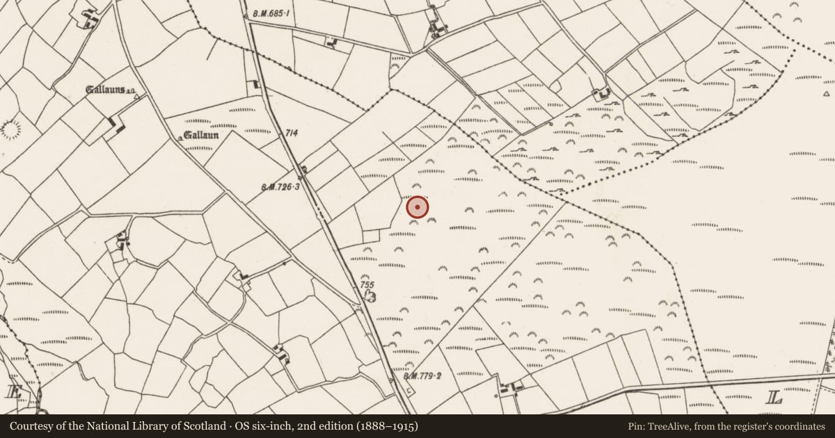 Ordnance Survey six-inch map, 2nd edition (1888–1915) covering the location of Standing stone, Cloghboola Beg, County Cork, with a pin at the register's coordinates