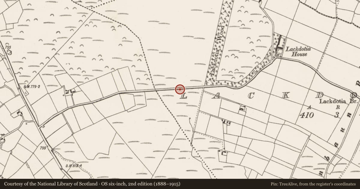 Ordnance Survey six-inch map, 2nd edition (1888–1915) covering the location of Standing stone, Lackdotia, County Cork, with a pin at the register's coordinates