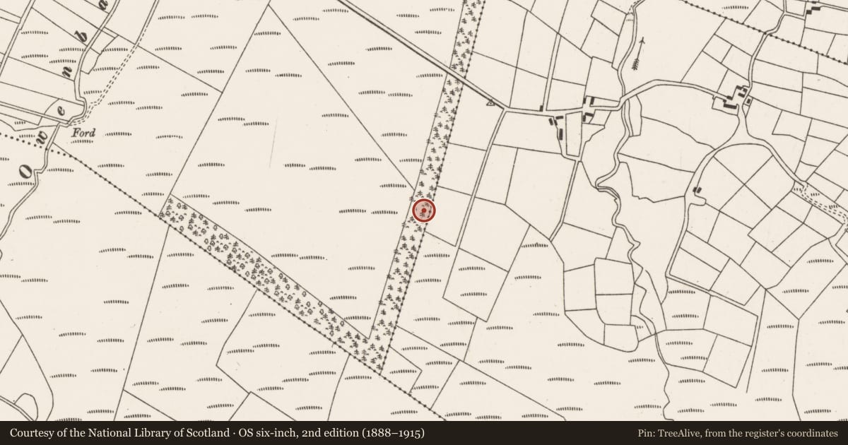 Ordnance Survey six-inch map, 2nd edition (1888–1915) covering the location of Standing stone, Lackdotia, Mushera, County Cork, with a pin at the register's coordinates