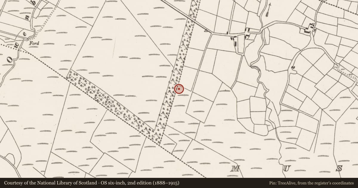 Ordnance Survey six-inch map, 2nd edition (1888–1915) covering the location of Boulder-burial, Mushera, County Cork, with a pin at the register's coordinates