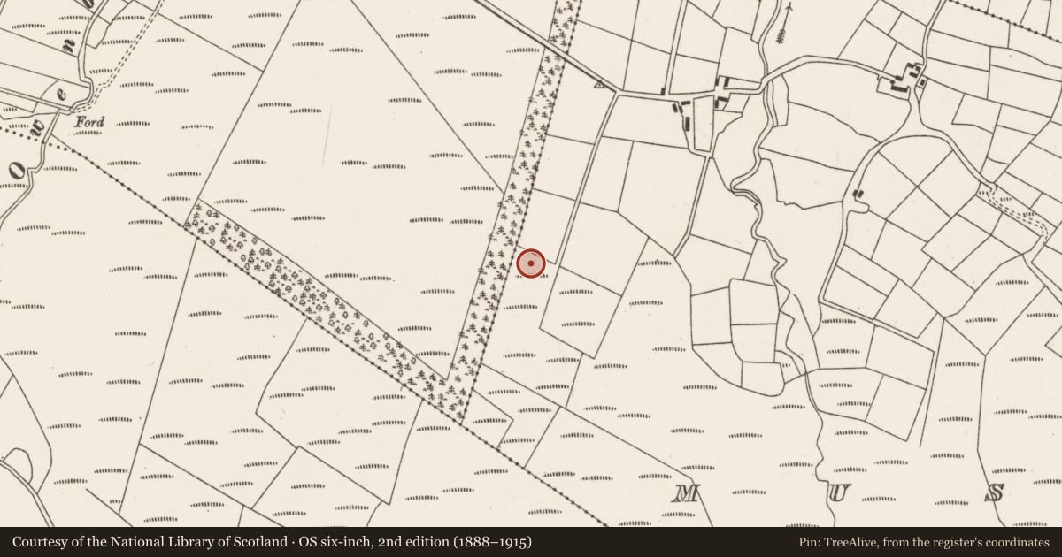 Ordnance Survey six-inch map, 2nd edition (1888–1915) covering the location of Boulder-burial, Mushera, County Cork, with a pin at the register's coordinates