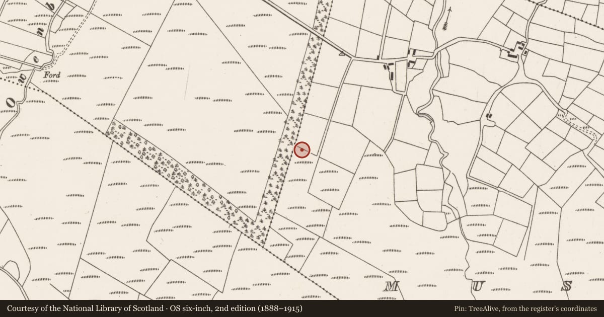 Ordnance Survey six-inch map, 2nd edition (1888–1915) covering the location of Boulder-burial, Mushera, County Cork, with a pin at the register's coordinates