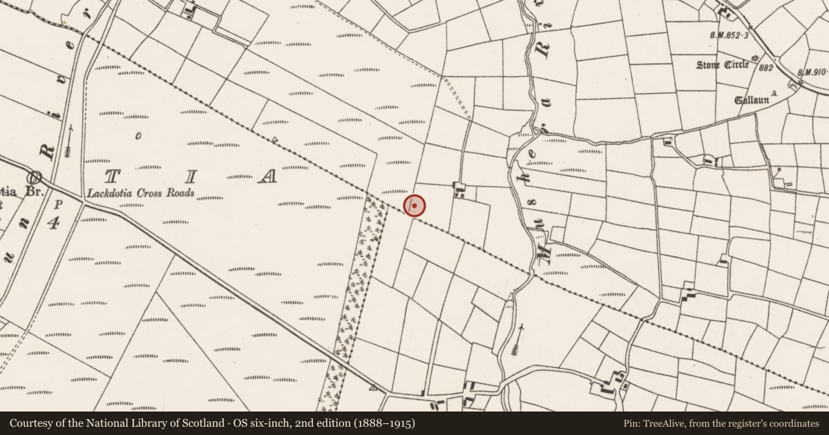 Ordnance Survey six-inch map, 2nd edition (1888–1915) covering the location of Standing stone, Tullig, County Cork, with a pin at the register's coordinates