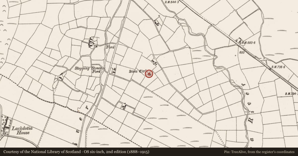 Ordnance Survey six-inch map, 2nd edition (1888–1915) covering the location of Stone circle - five-stone, Tullig, County Cork, with a pin at the register's coordinates