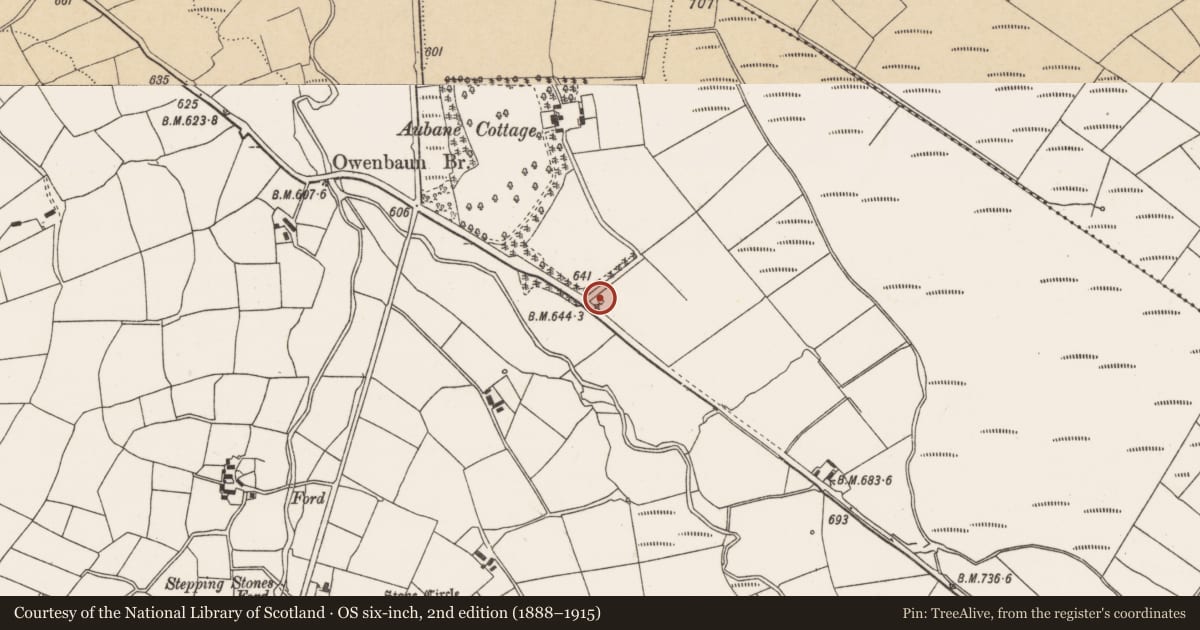 Ordnance Survey six-inch map, 2nd edition (1888–1915) covering the location of Kiln - lime, Tullig, County Cork, with a pin at the register's coordinates
