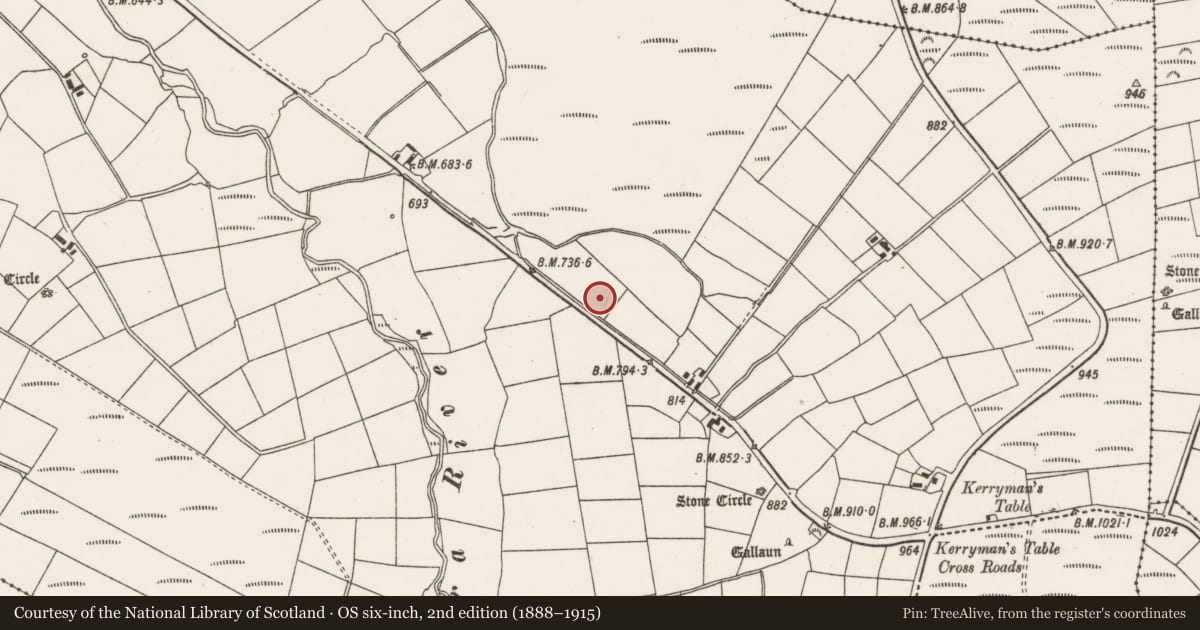 Ordnance Survey six-inch map, 2nd edition (1888–1915) covering the location of Standing stone, Tullig, County Cork, with a pin at the register's coordinates