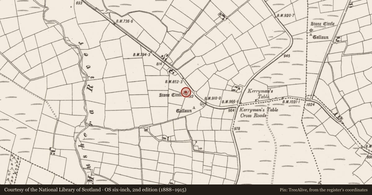 Ordnance Survey six-inch map, 2nd edition (1888–1915) covering the location of Stone row, Tullig, County Cork, with a pin at the register's coordinates