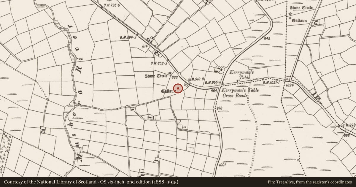 Ordnance Survey six-inch map, 2nd edition (1888–1915) covering the location of Standing stone, Tullig, County Cork, with a pin at the register's coordinates