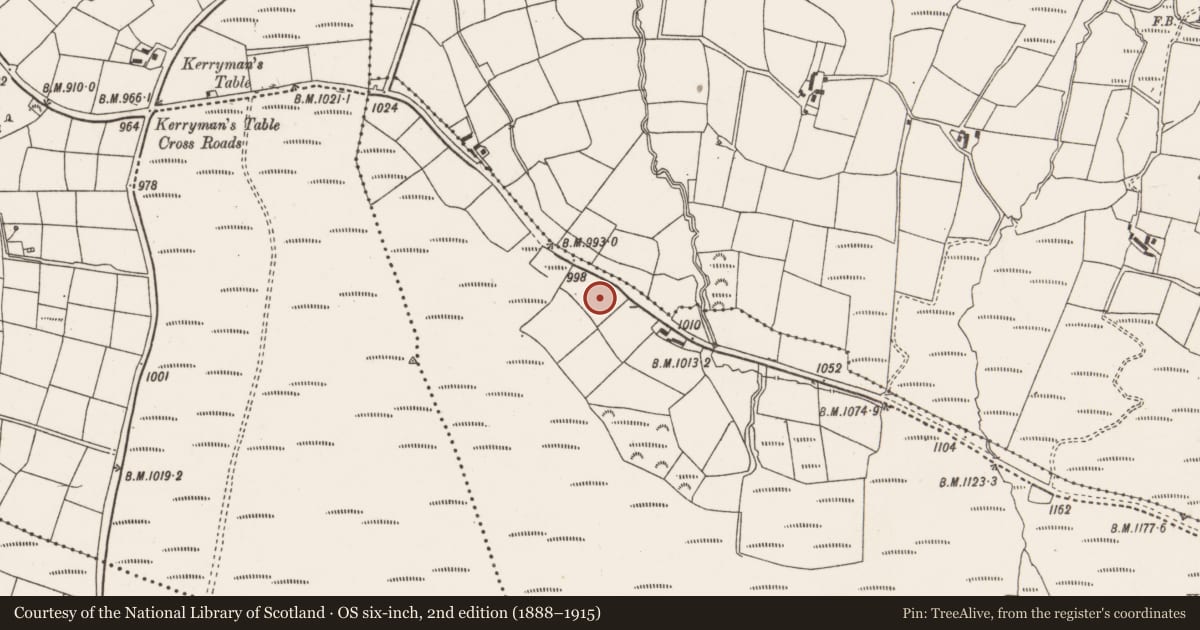 Ordnance Survey six-inch map, 2nd edition (1888–1915) covering the location of Standing stone, Mushera, County Cork, with a pin at the register's coordinates