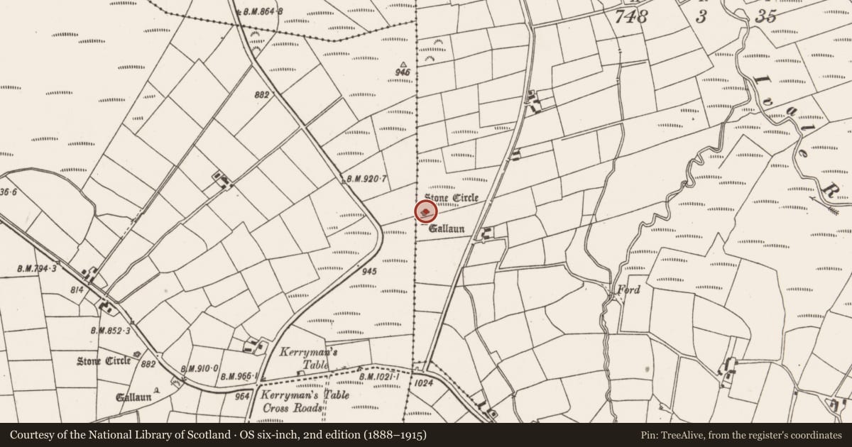 Ordnance Survey six-inch map, 2nd edition (1888–1915) covering the location of Anomalous stone group, Brookpark, County Cork, with a pin at the register's coordinates