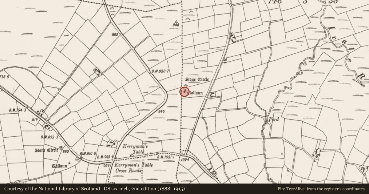 Ordnance Survey six-inch map, 2nd edition (1888–1915) covering the location of Standing stone, Brookpark, County Cork, with a pin at the register's coordinates