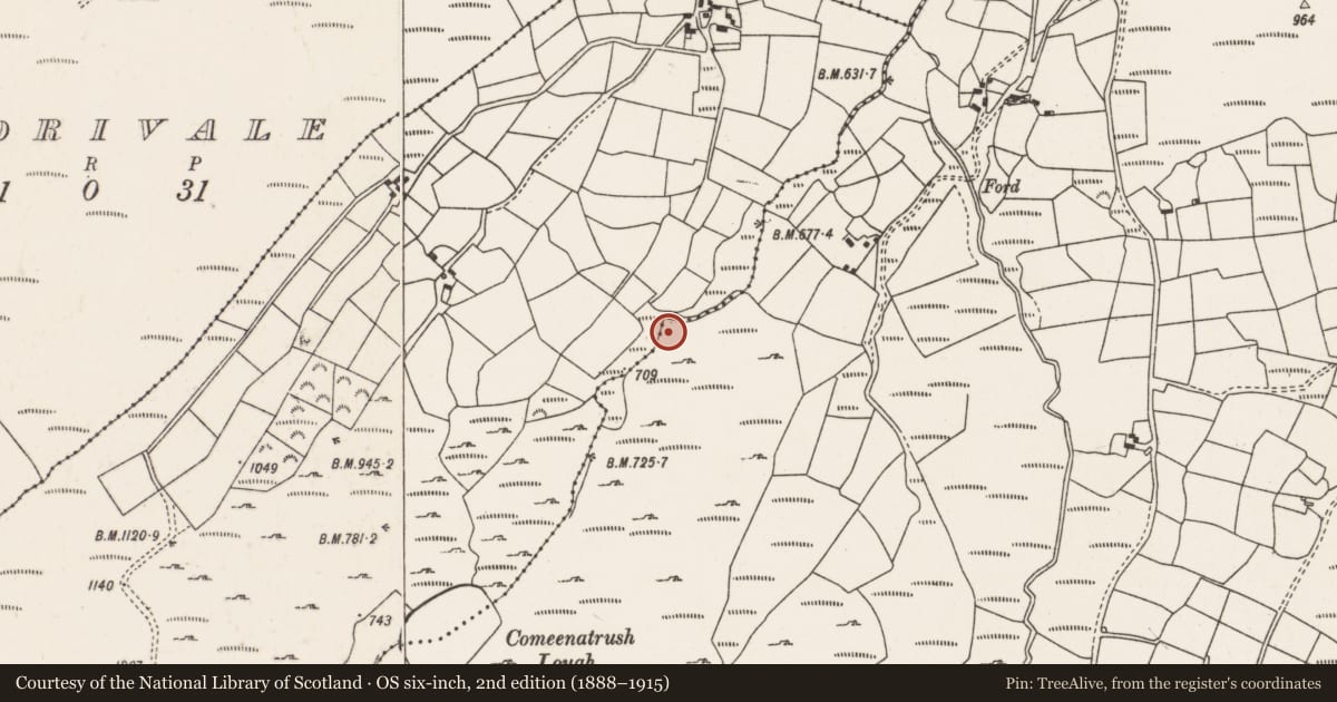 Ordnance Survey six-inch map, 2nd edition (1888–1915) covering the location of Fulacht fia, Curragh (Muskerry West By., Drishane Par.), County Cork, with a pin at the register's coordinates