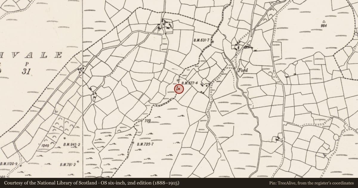 Ordnance Survey six-inch map, 2nd edition (1888–1915) covering the location of Fulacht fia, Curragh (Muskerry West By., Drishane Par.), County Cork, with a pin at the register's coordinates