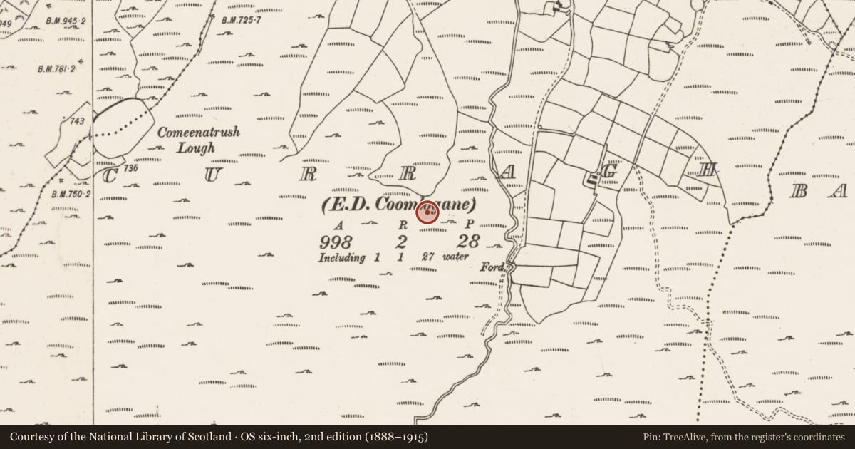Ordnance Survey six-inch map, 2nd edition (1888–1915) covering the location of Fulacht fia, Curragh (Muskerry West By., Drishane Par.), County Cork, with a pin at the register's coordinates
