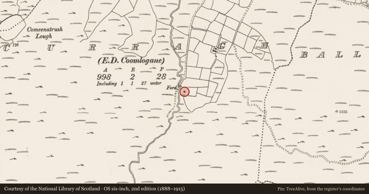 Ordnance Survey six-inch map, 2nd edition (1888–1915) covering the location of Souterrain, Curragh (Muskerry West By., Drishane Par.), County Cork, with a pin at the register's coordinates