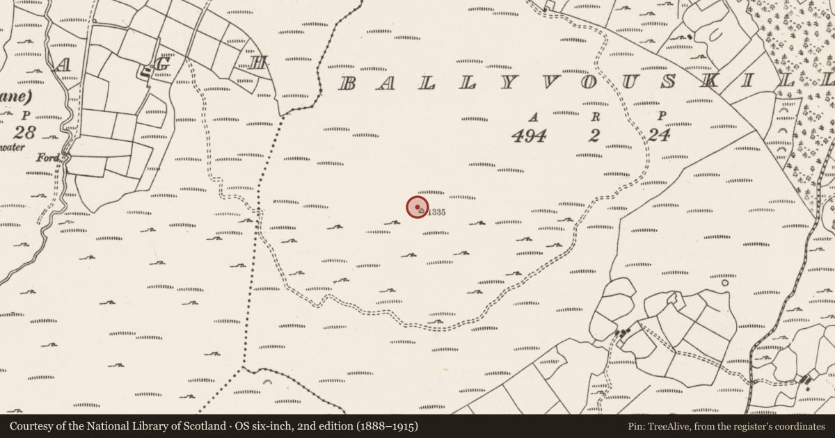 Ordnance Survey six-inch map, 2nd edition (1888–1915) covering the location of Cairn - unclassified, Ballyvouskill, County Cork, with a pin at the register's coordinates