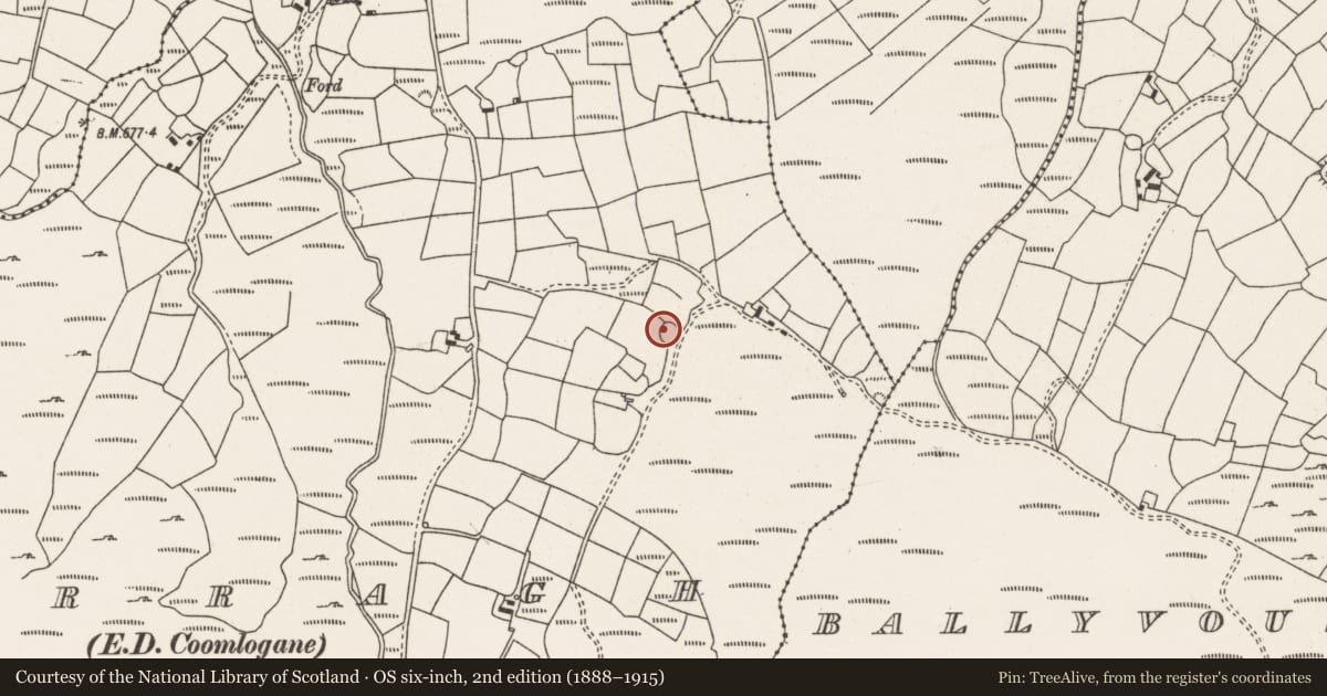 Ordnance Survey six-inch map, 2nd edition (1888–1915) covering the location of Ringfort - cashel, Curragh (Muskerry West By., Drishane Par.), County Cork, with a pin at the register's coordinates