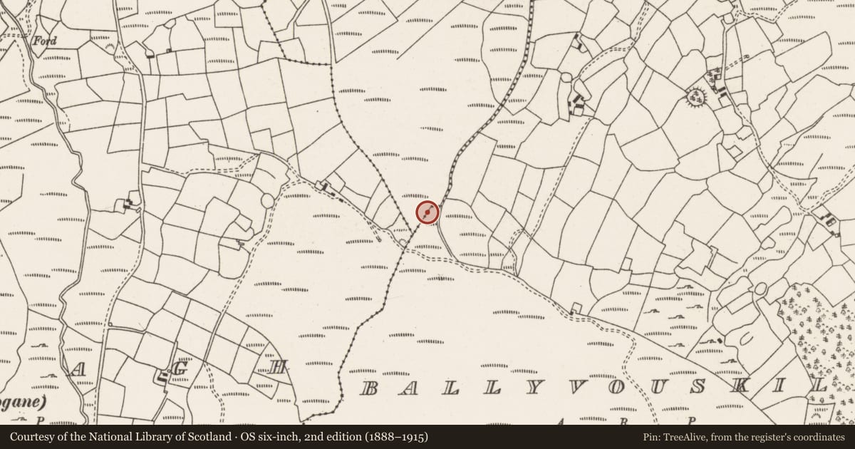 Ordnance Survey six-inch map, 2nd edition (1888–1915) covering the location of Fulacht fia, Ballyvouskill, County Cork, with a pin at the register's coordinates