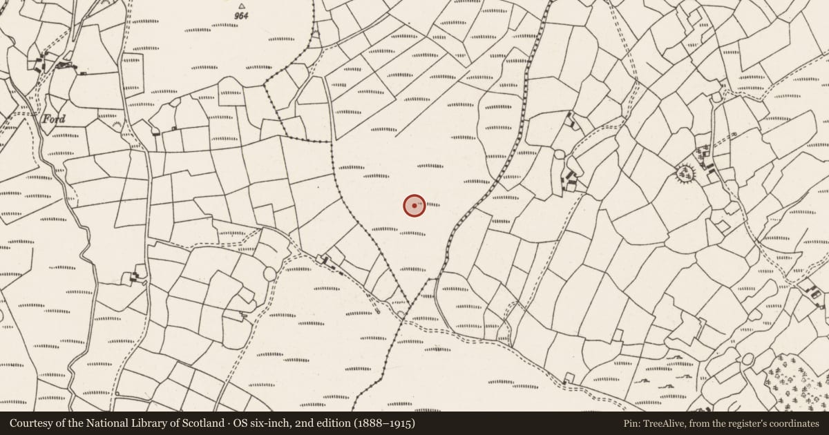 Ordnance Survey six-inch map, 2nd edition (1888–1915) covering the location of Fulacht fia, Ballynatona, County Cork, with a pin at the register's coordinates