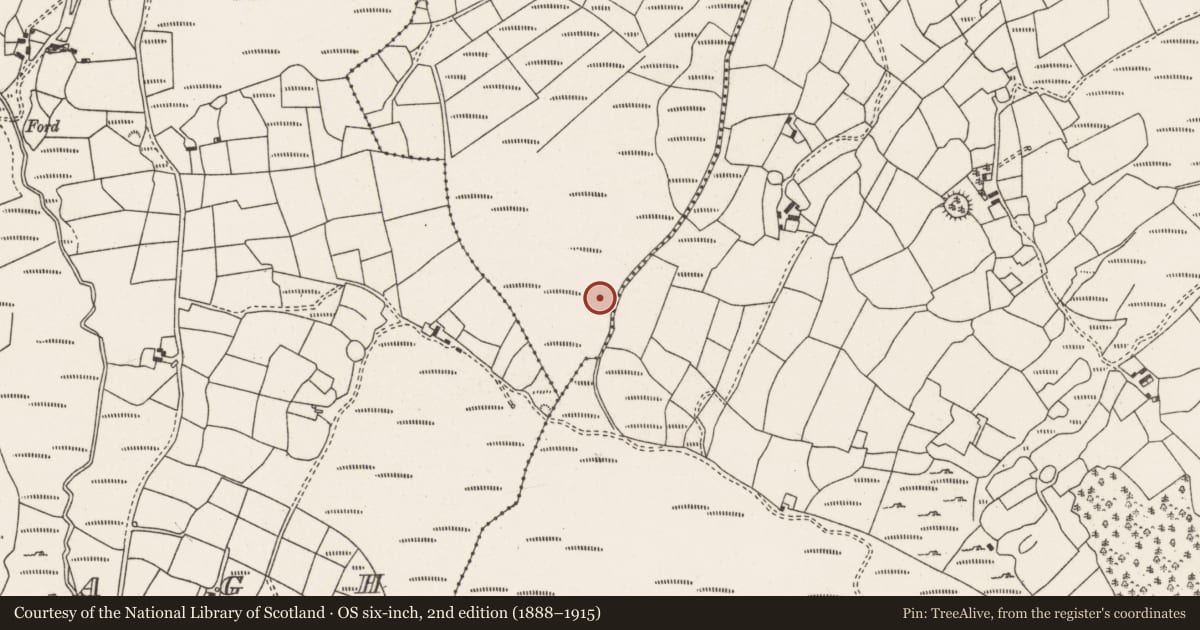 Ordnance Survey six-inch map, 2nd edition (1888–1915) covering the location of Fulacht fia, Ballynatona, County Cork, with a pin at the register's coordinates