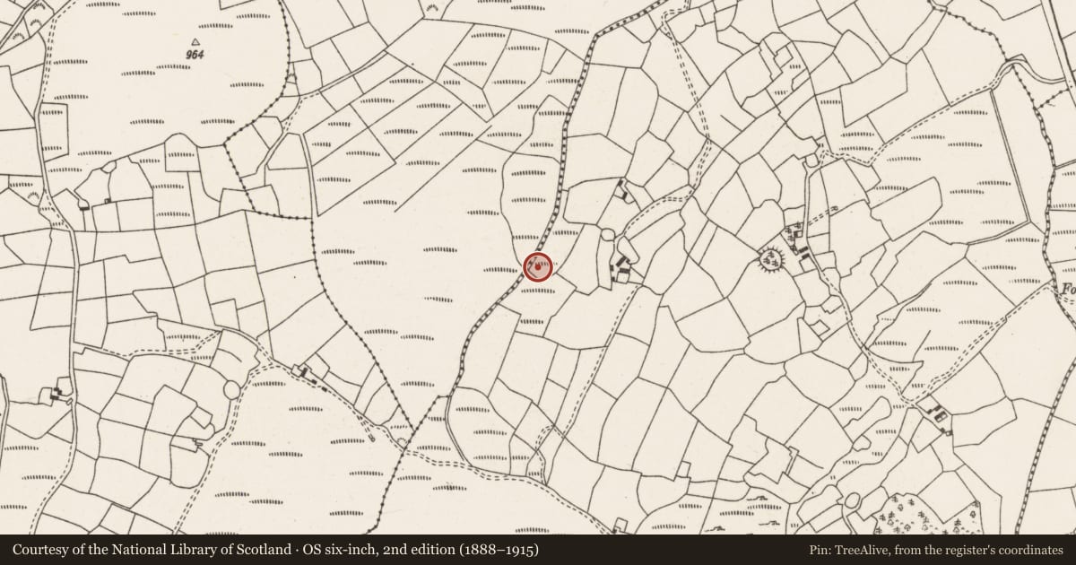 Ordnance Survey six-inch map, 2nd edition (1888–1915) covering the location of Fulacht fia, Ballyvouskill, County Cork, with a pin at the register's coordinates