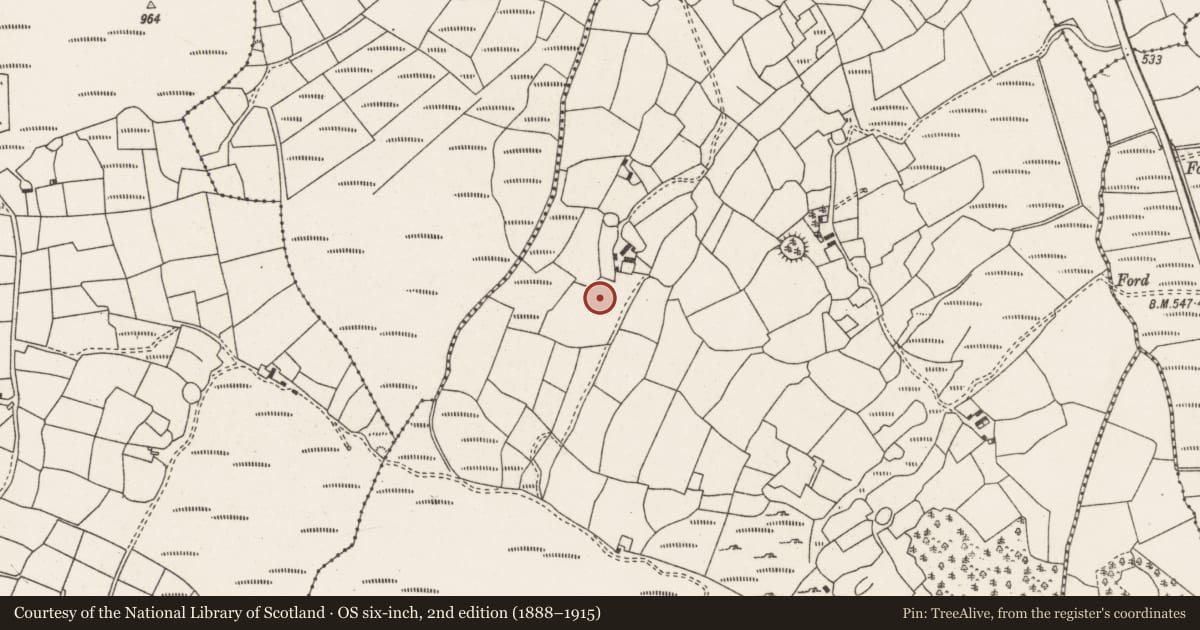 Ordnance Survey six-inch map, 2nd edition (1888–1915) covering the location of Standing stone, Ballyvouskill, County Cork, with a pin at the register's coordinates