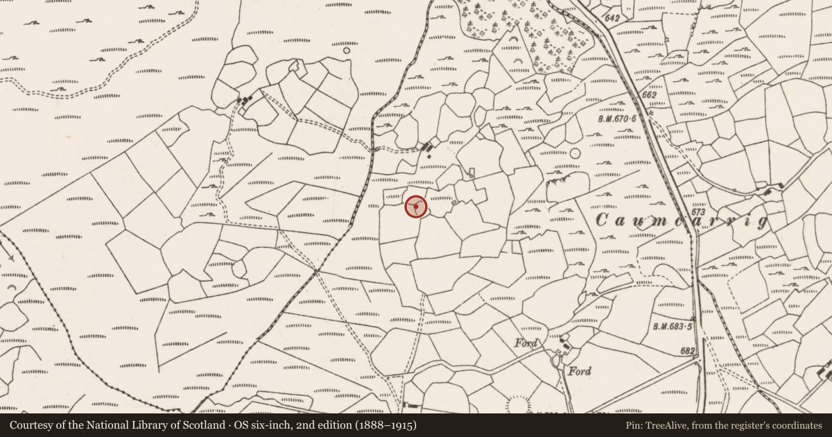 Ordnance Survey six-inch map, 2nd edition (1888–1915) covering the location of Ringfort - cashel, Caherdowney, County Cork, with a pin at the register's coordinates