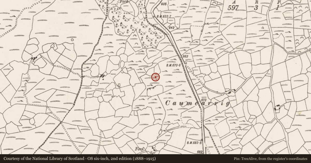 Ordnance Survey six-inch map, 2nd edition (1888–1915) covering the location of Ringfort - cashel, Caherdowney, County Cork, with a pin at the register's coordinates