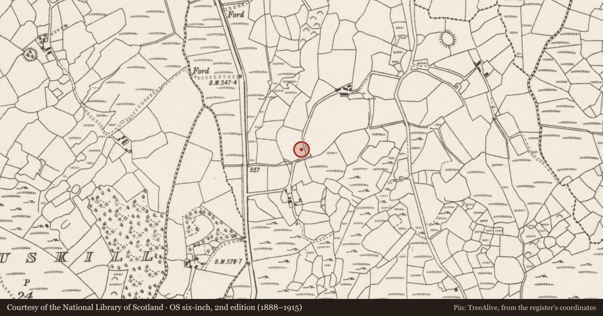 Ordnance Survey six-inch map, 2nd edition (1888–1915) covering the location of Fulacht fia, Carrigacooleen, County Cork, with a pin at the register's coordinates