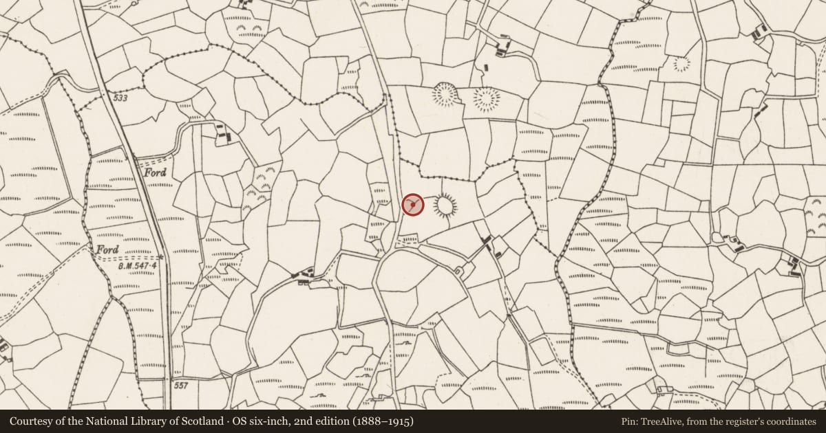 Ordnance Survey six-inch map, 2nd edition (1888–1915) covering the location of Standing stone, Carrigacooleen, County Cork, with a pin at the register's coordinates