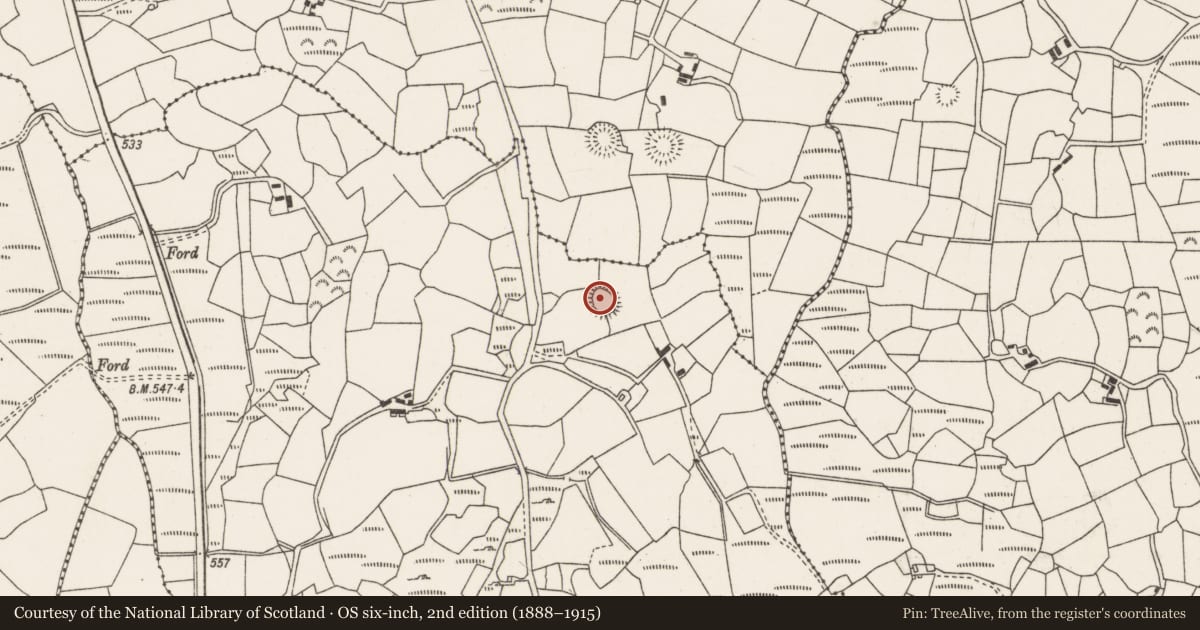 Ordnance Survey six-inch map, 2nd edition (1888–1915) covering the location of Ringfort - rath, Carrigacooleen, County Cork, with a pin at the register's coordinates