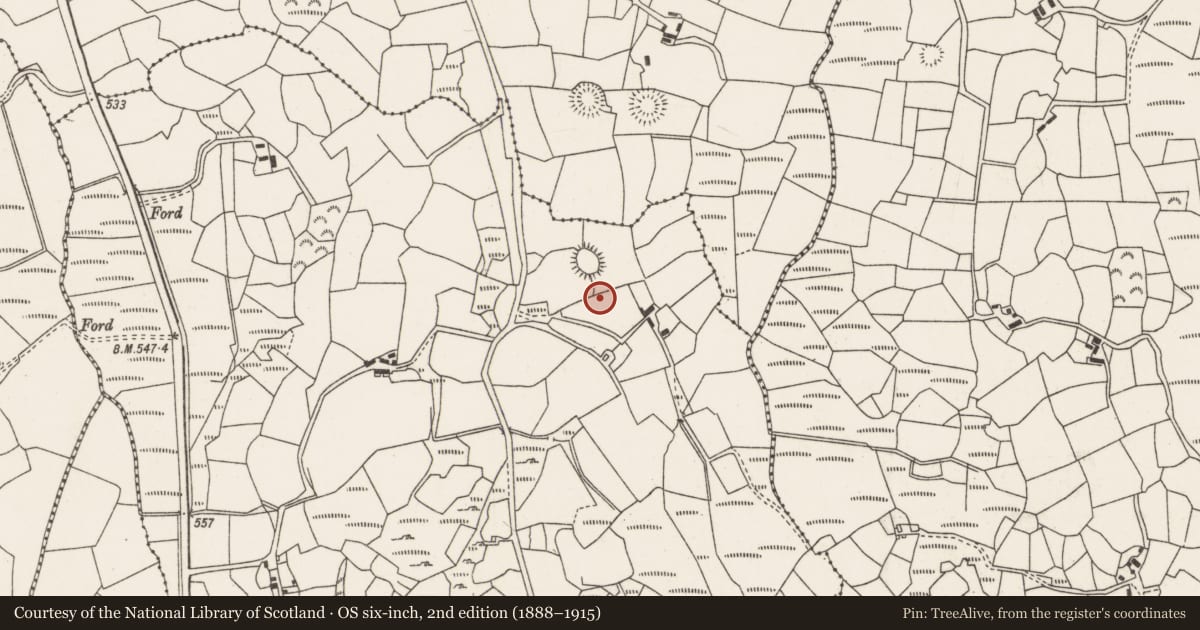 Ordnance Survey six-inch map, 2nd edition (1888–1915) covering the location of Standing stone, Carrigacooleen, County Cork, with a pin at the register's coordinates