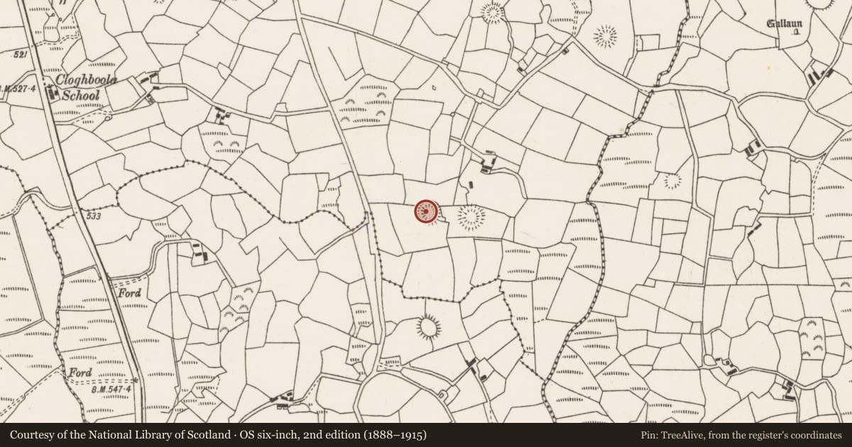 Ordnance Survey six-inch map, 2nd edition (1888–1915) covering the location of Ringfort - rath, Cloghboola More, County Cork, with a pin at the register's coordinates