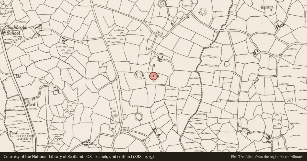 Ordnance Survey six-inch map, 2nd edition (1888–1915) covering the location of Ringfort - rath, Cloghboola More, County Cork, with a pin at the register's coordinates