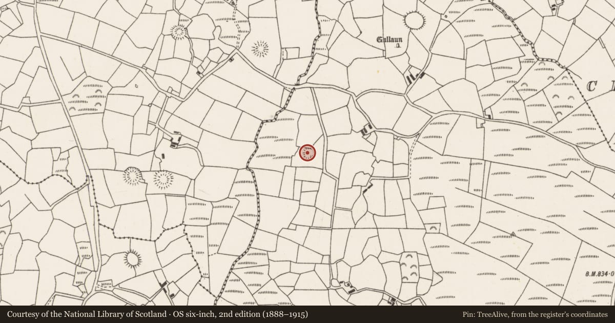 Ordnance Survey six-inch map, 2nd edition (1888–1915) covering the location of Ringfort - rath, Knocknakilla, County Cork, with a pin at the register's coordinates